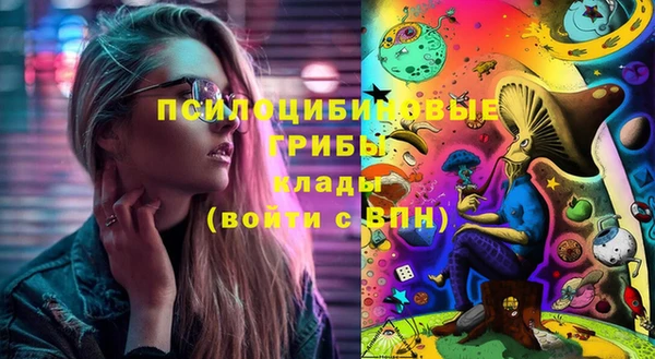 мдпв Михайлов