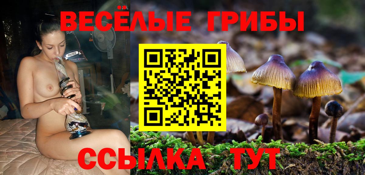 Партизанск  Галлюциногенные грибы GOLDEN TEACHER  Вход с VPN 