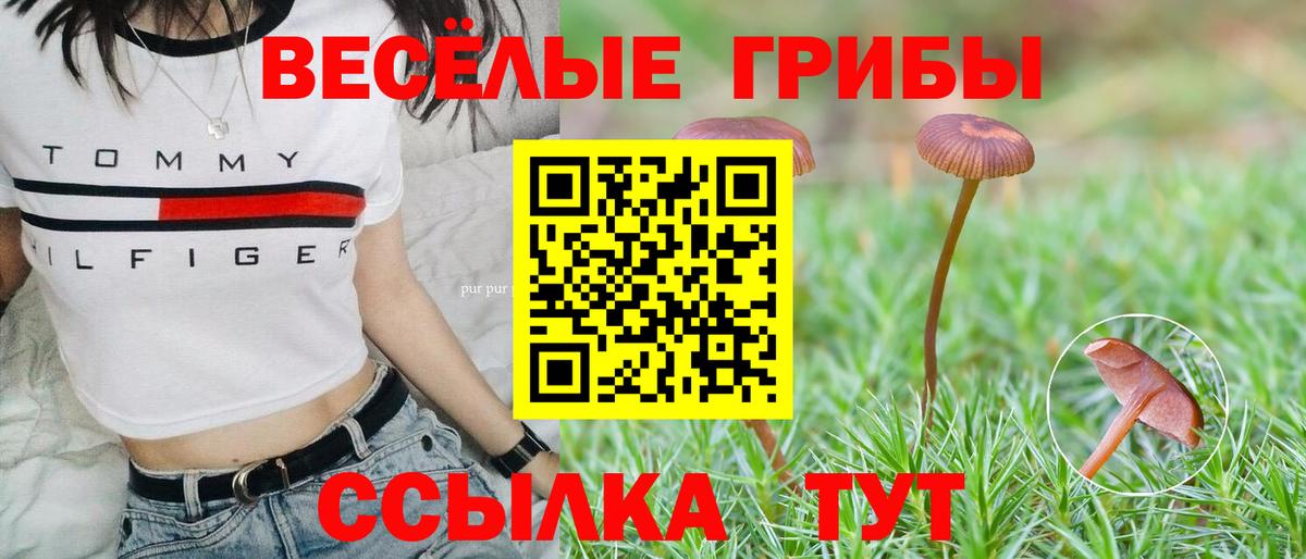 Псилоцибиновые грибы Cubensis Партизанск